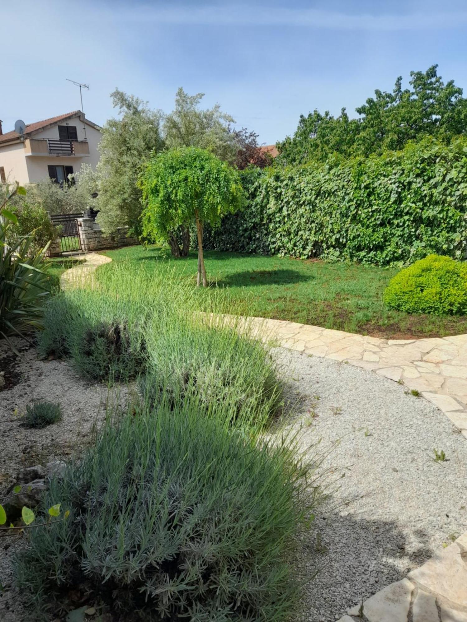 Salvia 4 Stars Apartment
