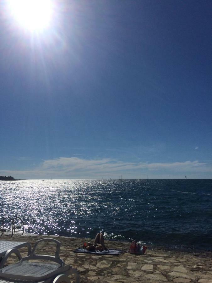 Salvia 4 Stars * Porec